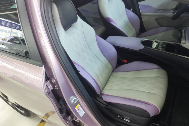 Used BYD Dolphin 2023 420 km Fashion Edition Right Front Seat