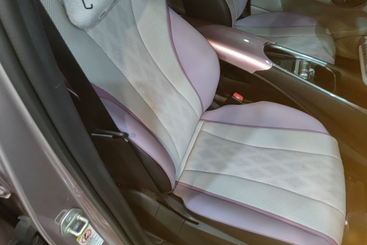 Used BYD Dolphin 2023 420 km Fashion Edition Right Front Seat