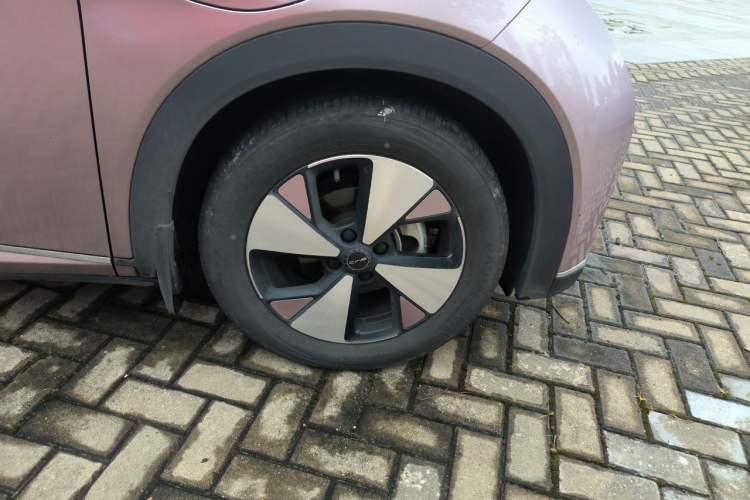 Used BYD Dolphin 2023 420 km Fashion Edition Right Front Wheel Hub