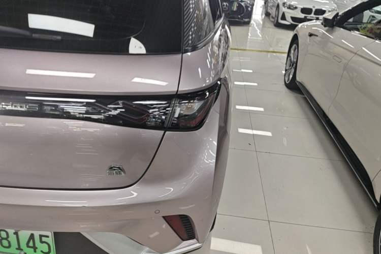 Used BYD Dolphin 2023 420 km Free Version Right Rear Taillight