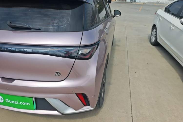 Used BYD Dolphin 2023 420 km Fashion Edition Right Rear Taillight