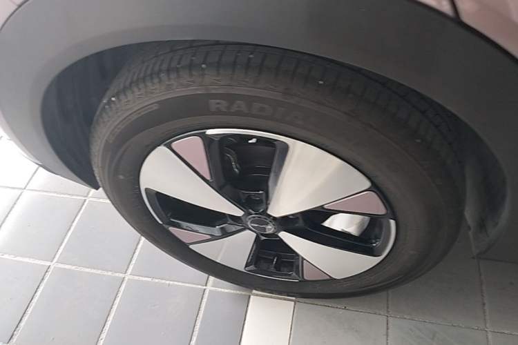 Used BYD Dolphin 2023 420 km Fashion Edition Right Rear Wheel Hub