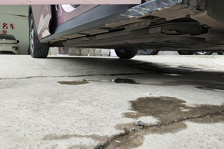 Used BYD Dolphin 2023 420 km Fashion Edition Right Side Sill