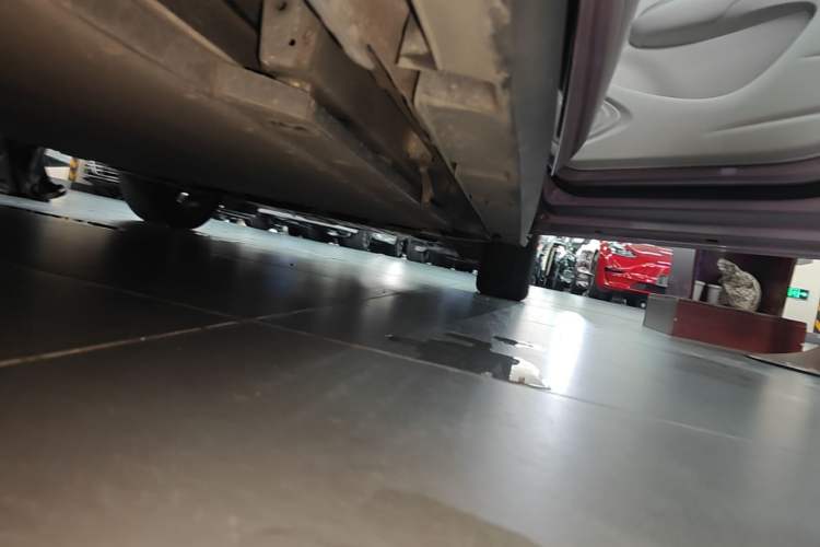 Used BYD Dolphin 2023 420 km Fashion Edition Right Side Sill