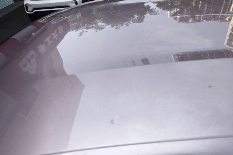 Used BYD Dolphin 2023 420 km Free Version Roof