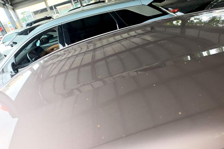 Used BYD Dolphin 2023 420 km Free Version Roof