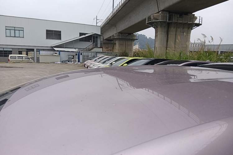Used BYD Dolphin 2023 420 km Free Version Roof