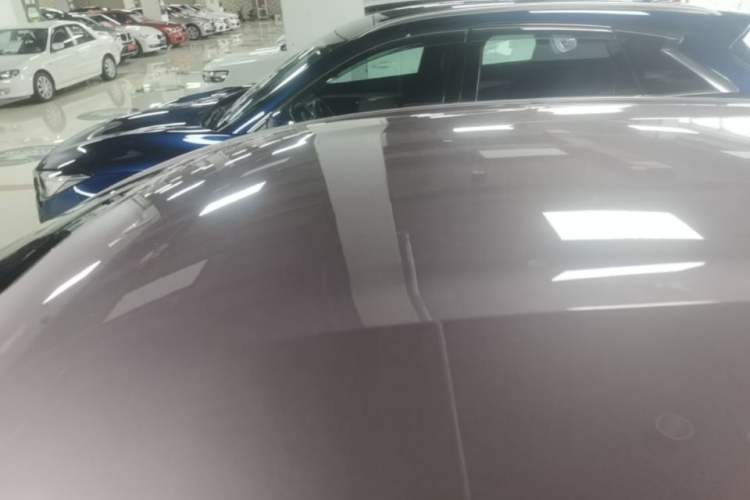 Used BYD Dolphin 2023 420 km Free Version Roof