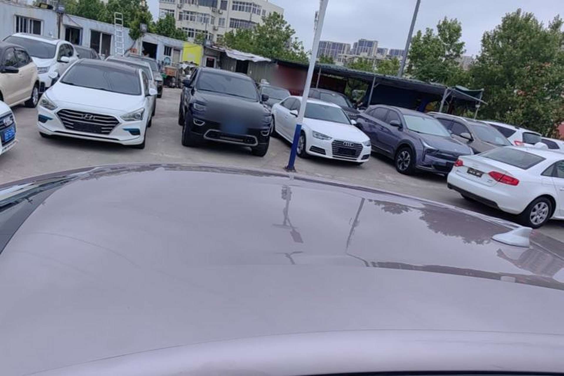 Used BYD Dolphin 2023 420 km Free Version Roof