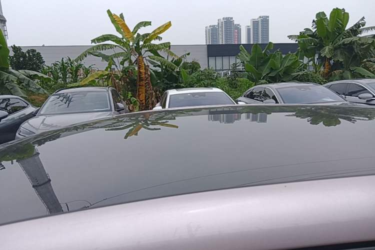 Used BYD Dolphin 2023 420 km Fashion Edition Roof