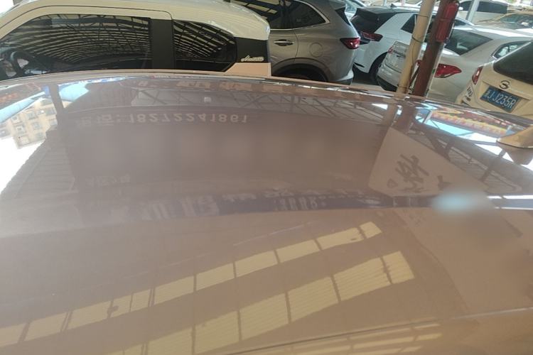 Used BYD Dolphin 2023 420 km Free Version Roof