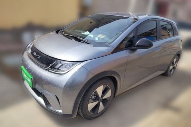 Used BYD Dolphin 2023 420 km Free Version