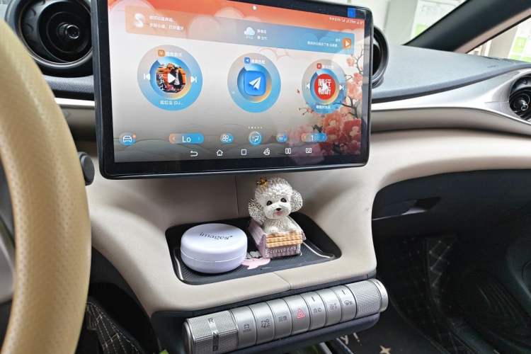 Used BYD Dolphin 2023 420 km Fashion Edition Audio And AC Panel