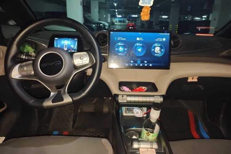 Used BYD Dolphin 2023 420 km Fashion Edition Center Console