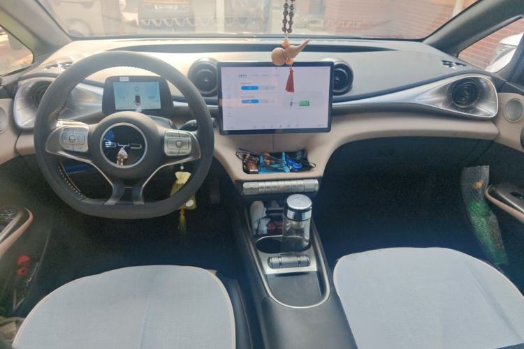 Used BYD Dolphin 2023 420 km Free Version Center Console