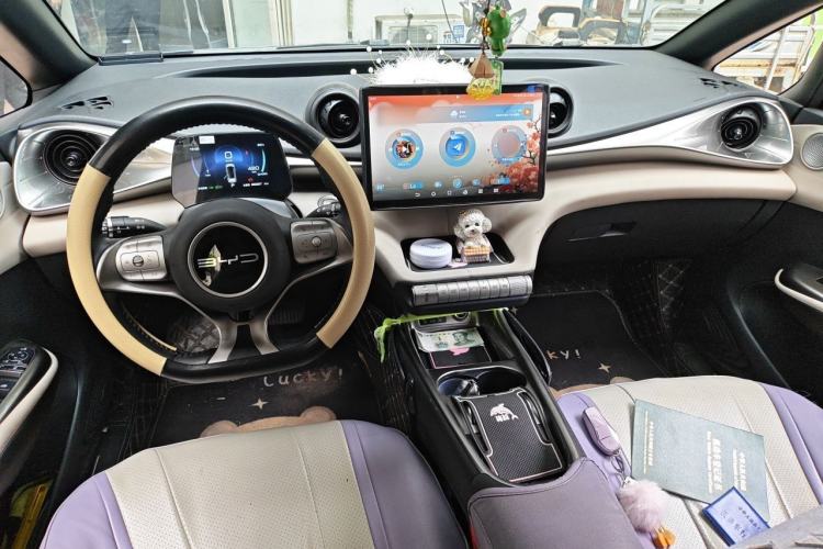 Used BYD Dolphin 2023 420 km Fashion Edition Center Console