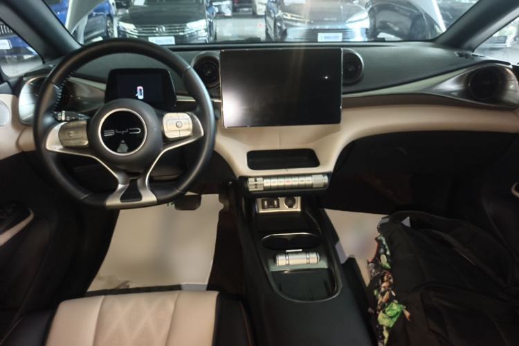 Used BYD Dolphin 2023 420 km Fashion Edition Center Console