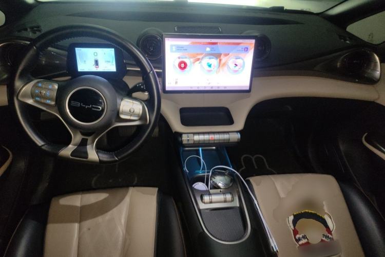 Used BYD Dolphin 2023 420 km Free Version Center Console