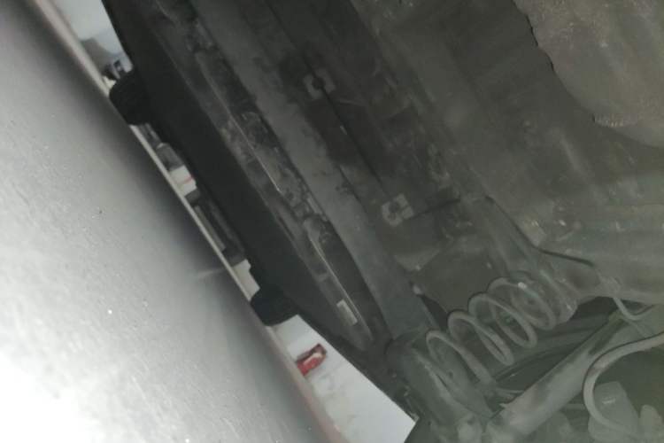 Used BYD Dolphin 2023 420 km Free Version Chassis Rear