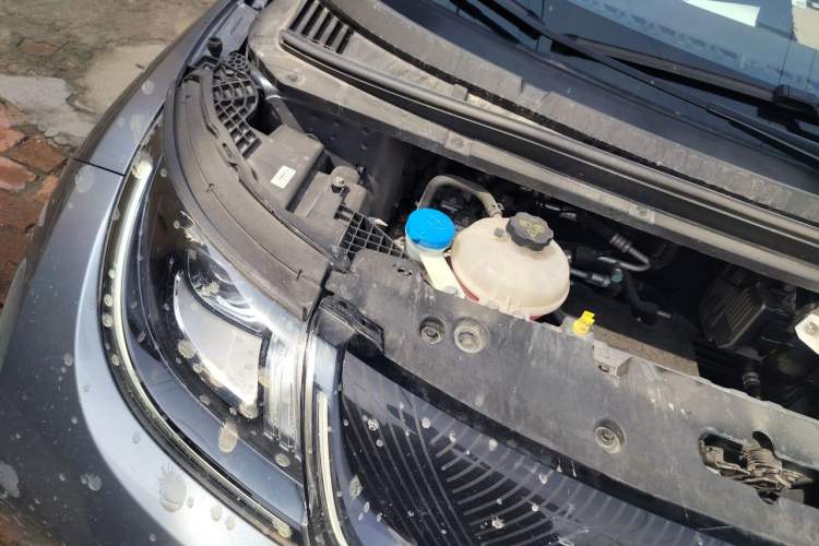Used BYD Dolphin 2023 420 km Free Version Engine Bay Right
