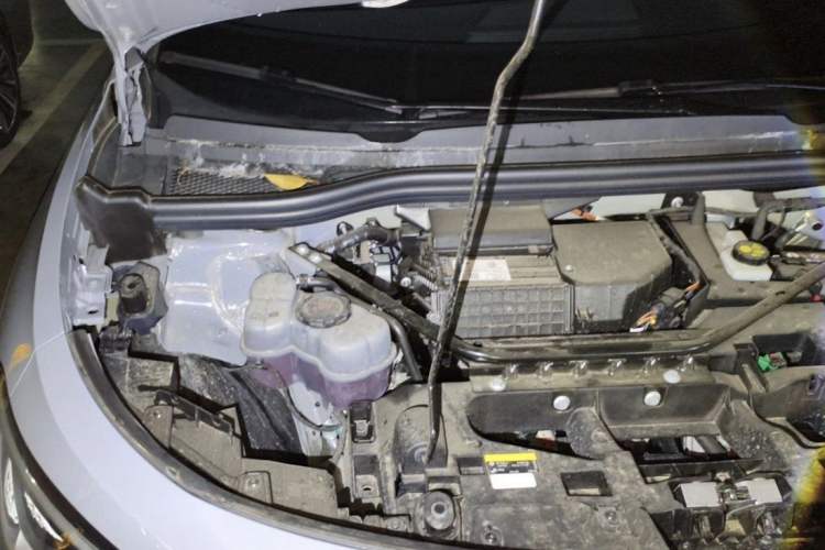 Used BYD Dolphin 2023 420 km Free Version Engine Bay Right