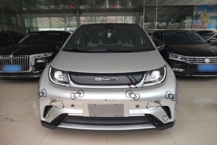 Used BYD Dolphin 2023 420 km Fashion Edition Front