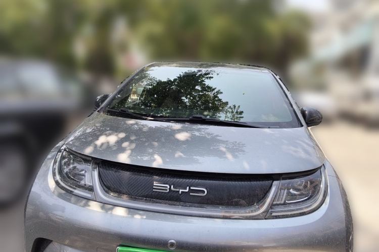 Used BYD Dolphin 2023 420 km Fashion Edition Front