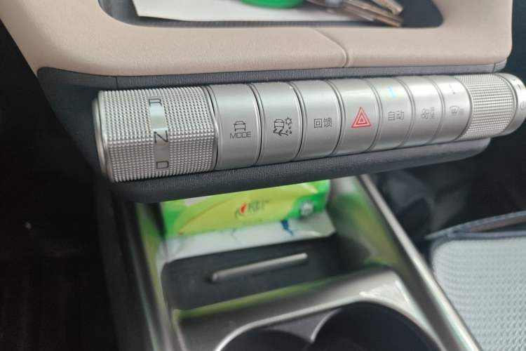 Used BYD Dolphin 2023 420 km Fashion Edition Gear Lever