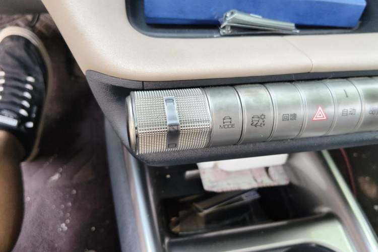 Used BYD Dolphin 2023 420 km Fashion Edition Gear Lever