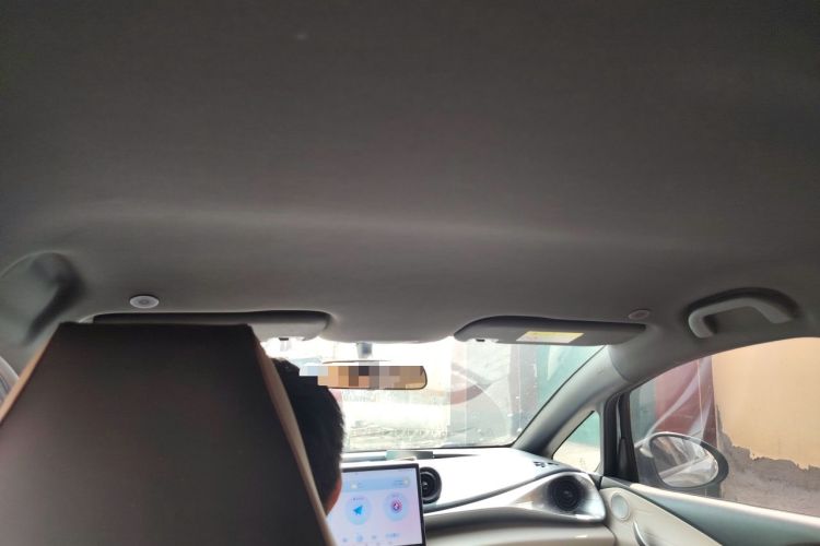 Used BYD Dolphin 2023 420 km Free Version Headliner