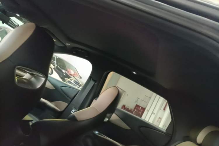 Used BYD Dolphin 2023 420 km Fashion Edition Headliner