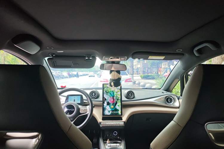 Used BYD Dolphin 2023 420 km Fashion Edition Headliner