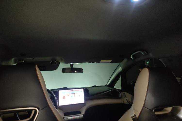 Used BYD Dolphin 2023 420 km Free Version Headliner