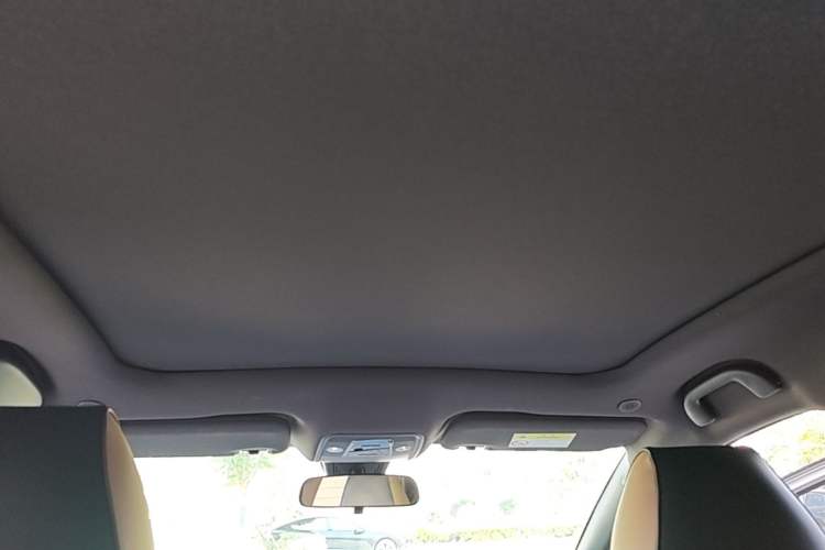 Used BYD Dolphin 2023 420 km Fashion Edition Headliner