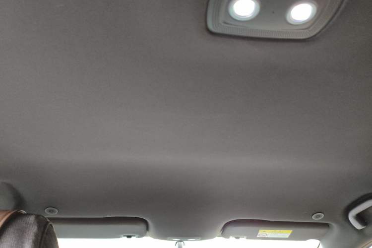 Used BYD Dolphin 2023 420 km Free Version Headliner