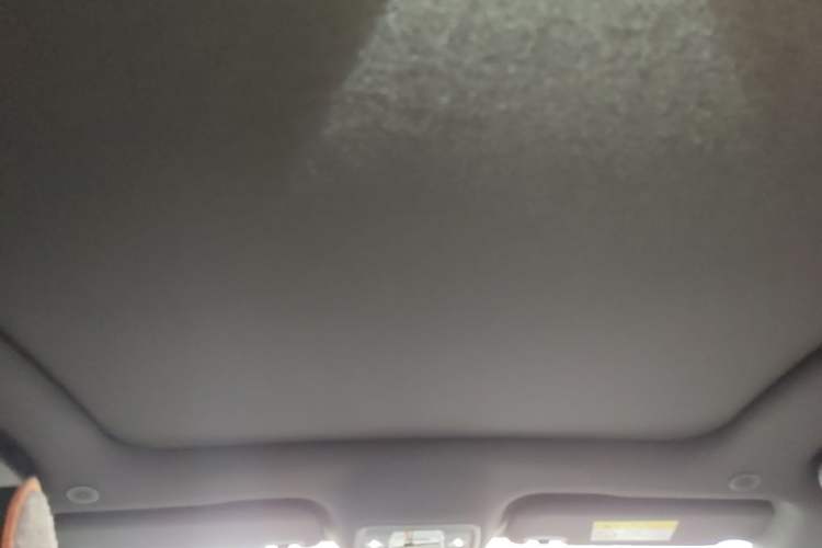 Used BYD Dolphin 2023 420 km Fashion Edition Headliner