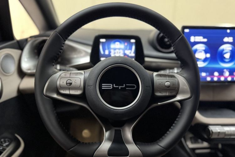 Used BYD Dolphin 2023 420 km Free Version Interior 6