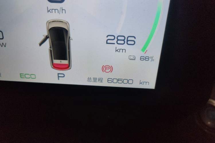 Used BYD Dolphin 2023 420 km Free Version Odometer Close Up