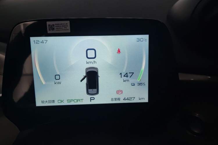 Used BYD Dolphin 2023 420 km Fashion Edition Odometer Close Up