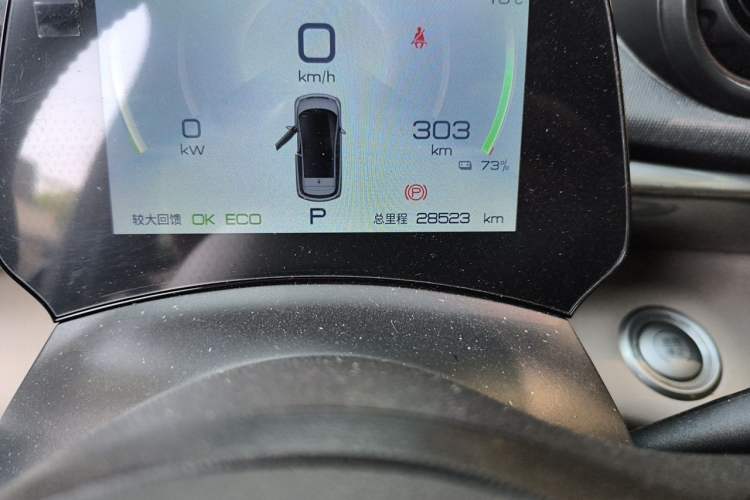 Used BYD Dolphin 2023 420 km Fashion Edition Odometer Close Up