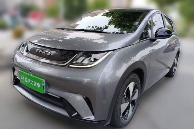 Used BYD Dolphin 2023 420 km Free Version
