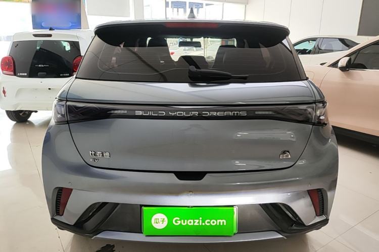 Used BYD Dolphin 2023 420 km Free Version Rear