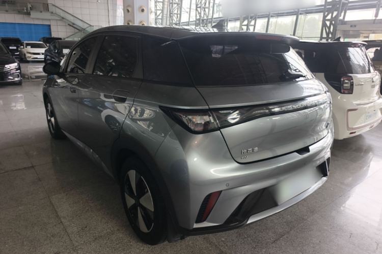 Used BYD Dolphin 2023 420 km Fashion Edition Rear Left 45 Deg