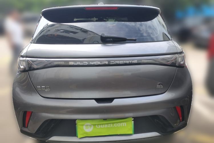 Used BYD Dolphin 2023 420 km Fashion Edition Rear