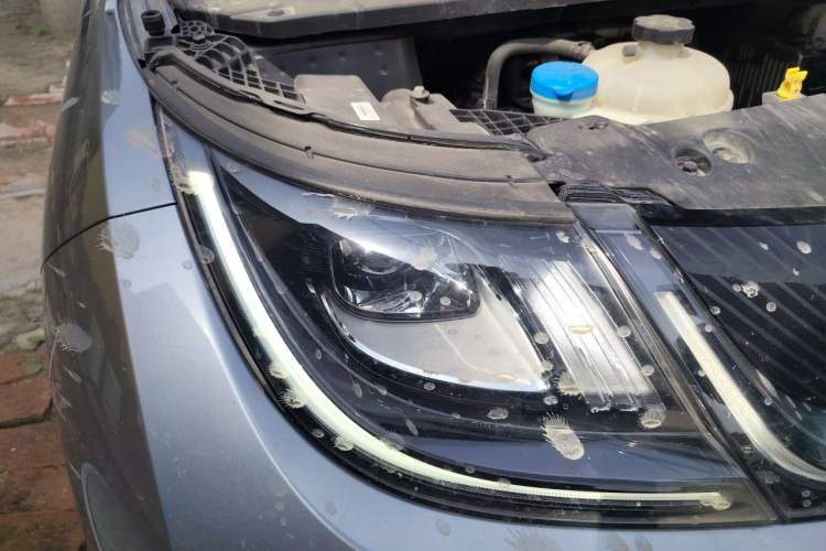 Used BYD Dolphin 2023 420 km Free Version Right Front Headlight