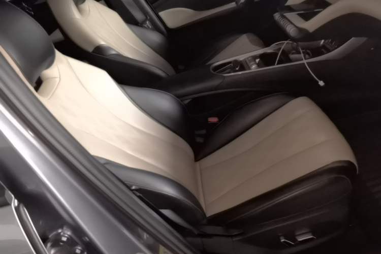 Used BYD Dolphin 2023 420 km Fashion Edition Right Front Seat
