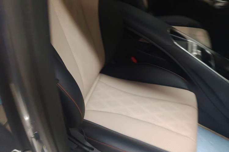 Used BYD Dolphin 2023 420 km Free Version Right Front Seat