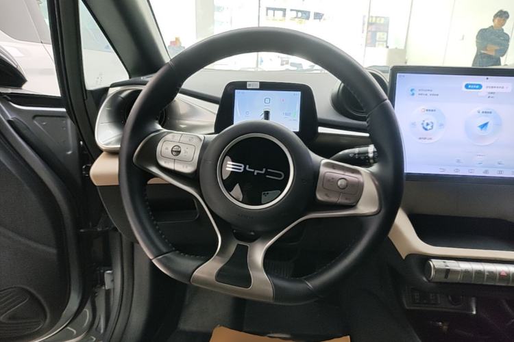 Used BYD Dolphin 2023 420 km Free Version Steering Wheel