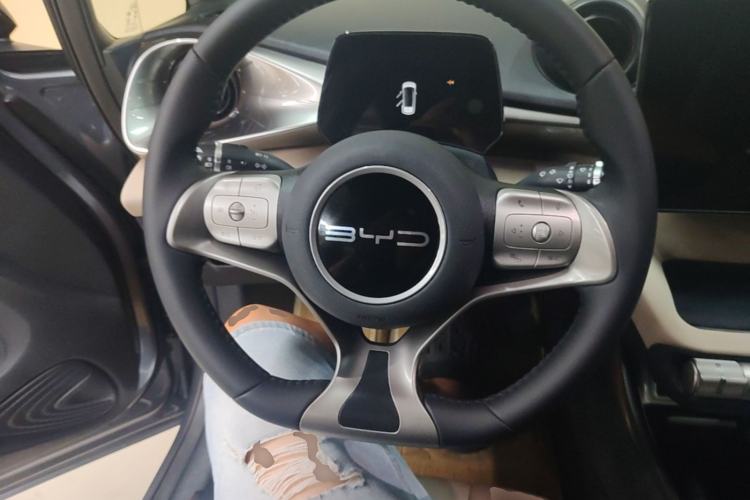 Used BYD Dolphin 2023 420 km Free Version Steering Wheel