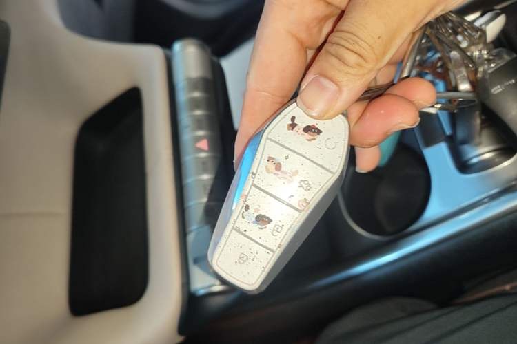 Used BYD Dolphin 2023 420 km Fashion Edition Vehicle Key